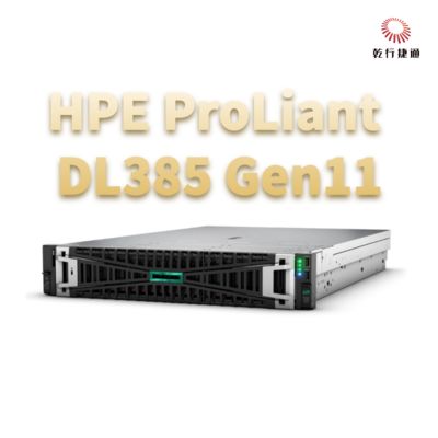 HPE ProLiant DL385 Gen11 Servidor 1u Servidor de armazenamento Envio da China