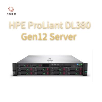 HPE ProLiant Compute DL380 Gen12 Rack Storage Server, servidor de armazenamento personalizado, servidor de 2 vias